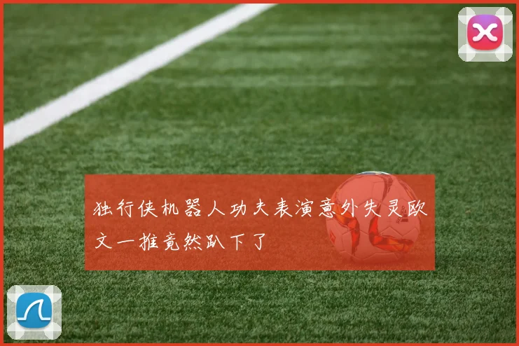独行侠机器人功夫表演意外失灵欧文一推竟然趴下了